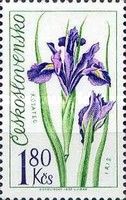 Iris