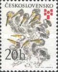 Pelican (Pelecanus sp.), Nikita Charushin