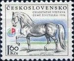 Kladruby Stallion (Equus ferus caballus)"GeneralissimusXXV"
