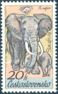 African Elephant with Calf and Cattle Egret