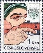 Rifle-shooting (Biathlon )