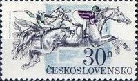 Racing Horses