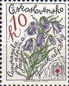 Campanula alpina