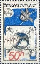 Mouse in Space