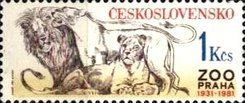 Lion (Panthera leo)