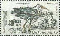 Grey Heron (Ardea cinerea)