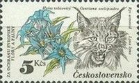 Eurasian Lynx and Willow Gentian