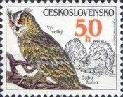 Eurasian Eagle-owl (Bubo bubo)