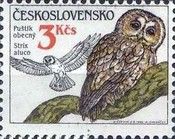 Tawny Owl (Strix aluco)