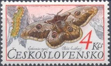 Large emperor moth (Saturnia pyri)