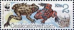 Fire-bellied Toad (Bombina bombina)