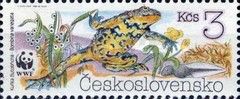 Yellow-bellied Toad (Bombina variegata)