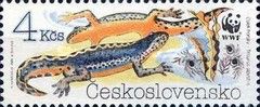Alpine Newt (Triturus alpestris)