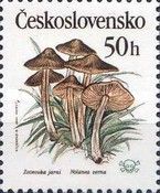 Nolanea verna - Zvonovka jarní