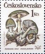 Amanita phalloides - Muchomůrka zelená