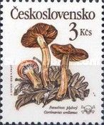 Cortinarius orellanus - Pavučinec plyšový