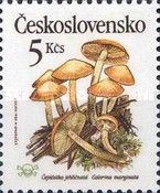 Galerina marginata - Čepičatka jehličnatá