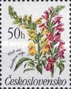 Snapdragon (Antirrhinum majus)