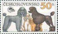 Breeds of Poodle