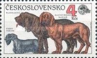 Czech Terrier, Bloodhound and Hanoverian Bearhound