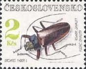 Long-horned Beetle (Ergates faber)