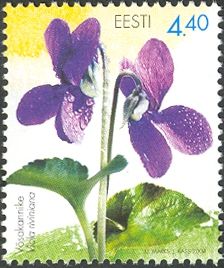 Violet (Viola riviniana)