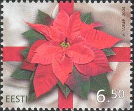 Christmas - Poinsettia