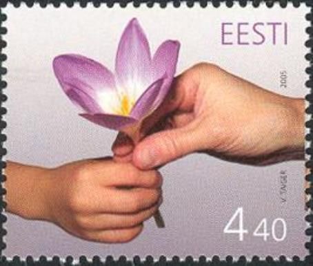 Spring Crocus (Crocus etruscus)