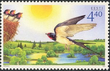 International Children's Day -Barn Swallow (Hirundo rustica)