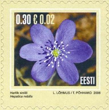 Liverleaf (Hepatica nobilis)