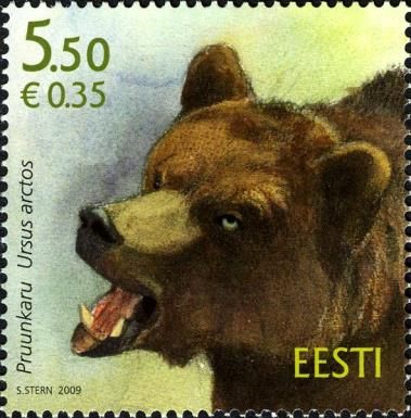 Brown Bear (Ursus arctos)