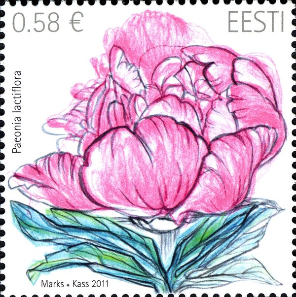 Peony (Paeonia lactiflora) (Perf 13:12 3/4)