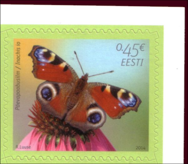 European Peacock Butterfly (Inachis io)