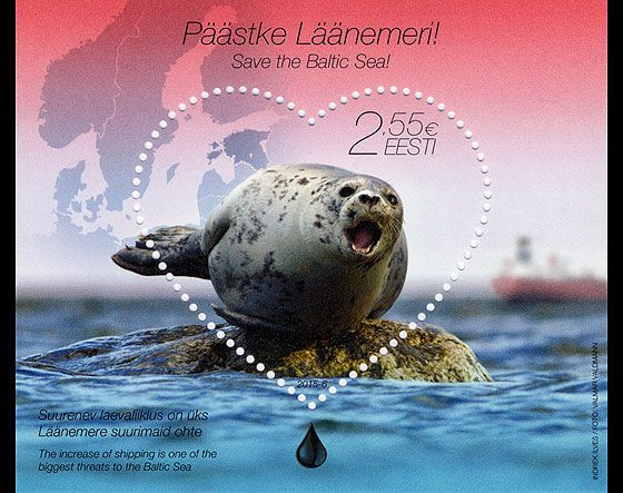 Harbour Seal (Phoca vitulina)