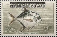 African Pompano (Alectis crinitus) overprinted