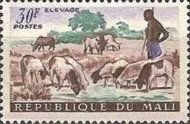 Shepherd, Sheep (Ovis ammon aries)