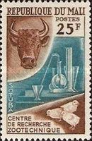 Bull, Chemical Equipment and Chicks