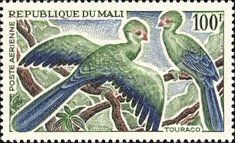Guinea Turaco (Tauraco persa)