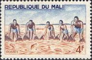 Group Fishing with Large Net