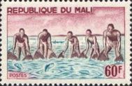 Group Fishing with Large Net