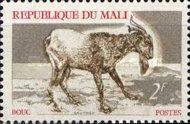 Goat (Capra hircus)