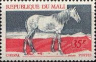Horse (Equus ferus caballus)