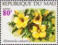 Allamanda cathartica