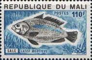 Nile Perch (Lates niloticus)