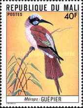 Northern Carmine Bee-eater (Merops nubicus)