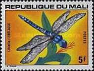 Emperor Dragonfly (Anax imperator)
