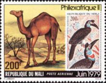 Dromedary (Camelus dromedarius) and Stamp of Mali