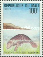 African Manatee (Trichechus manatus senegalensis)