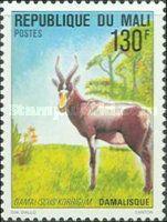 Korrigum (Damaliscus korrigum)