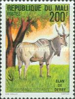 Giant Eland (Taurotragus derbianus)